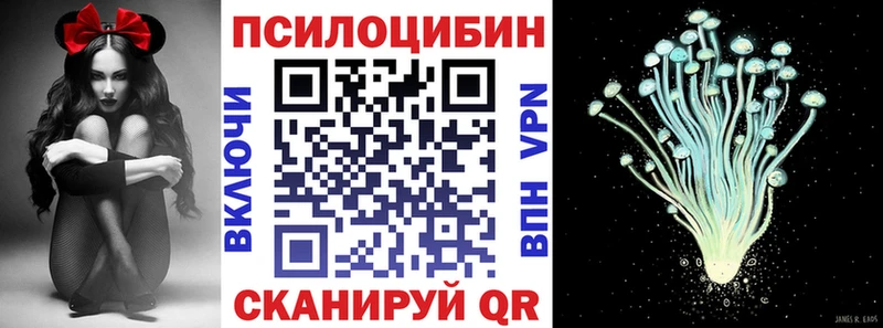 darknet формула купить Анжеро-Судженск Галлюциногенные грибы прущие грибы